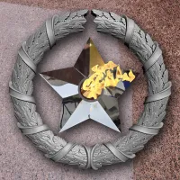Венок вечный огонь чугун звезда нержавеющая сталь в Ставрополе (518577)