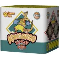 Батарея салютов Кенгуру ОС6035 купить от производителя Огненный Цветок — Ставрополь