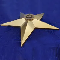 Звезда вечный огонь (1628) поставка комплект горелка ГВД 379 10 89 00 ПС ø 1100 мм. пустотелая  в Ставрополе